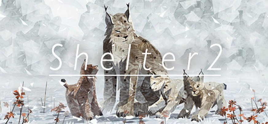 shelter-2-banner